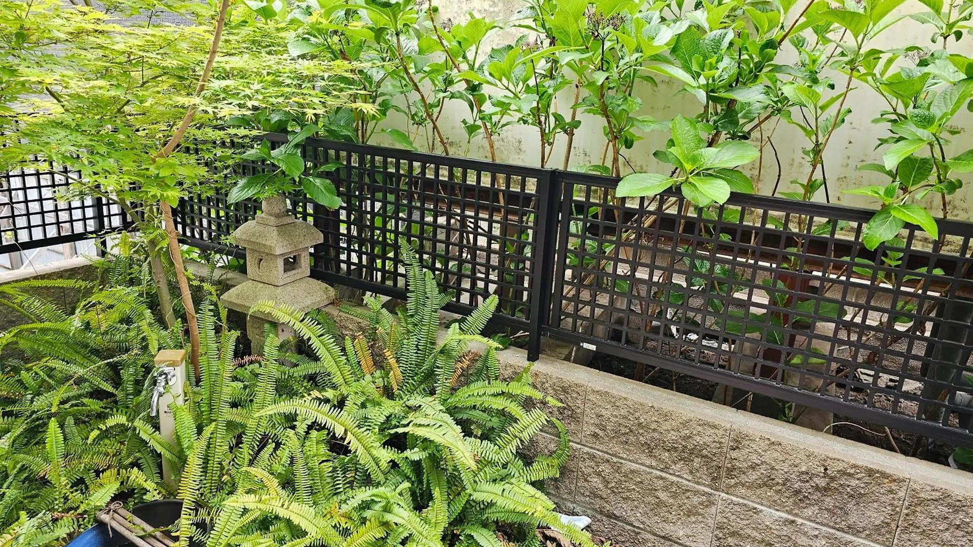 Hanen半園 Osaka
